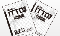 ITTO模試